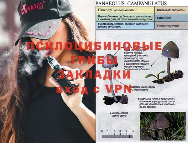 МДПВ Армянск