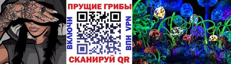 hydra как зайти  Сасово  Псилоцибиновые грибы мухоморы 